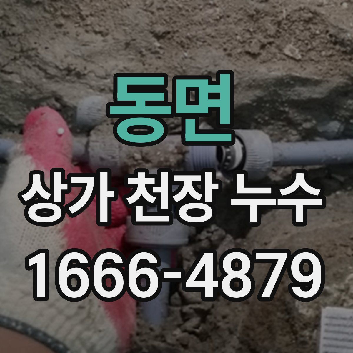 동면 상가 천장 누수
