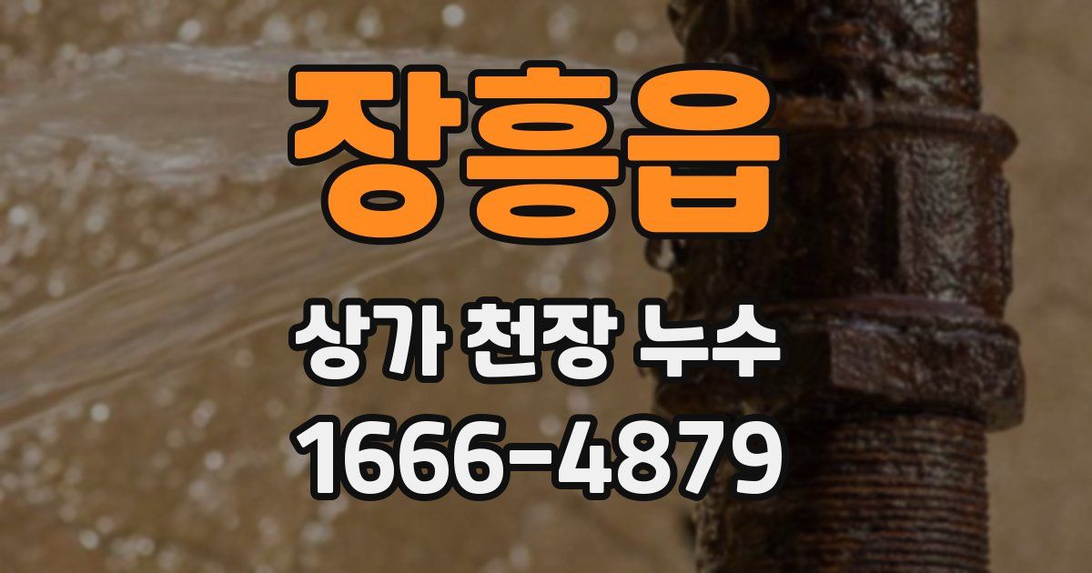 장흥읍 상가 천장 누수