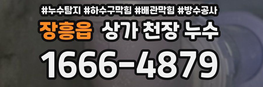 장흥읍 상가 천장 누수