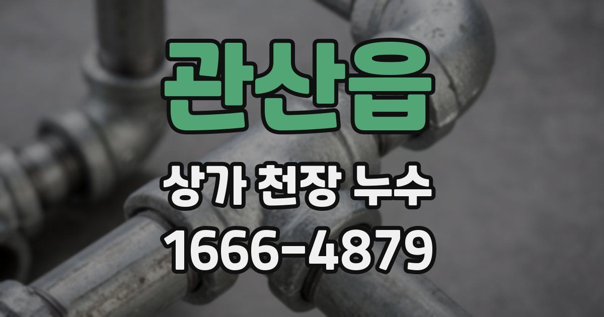 관산읍 상가 천장 누수