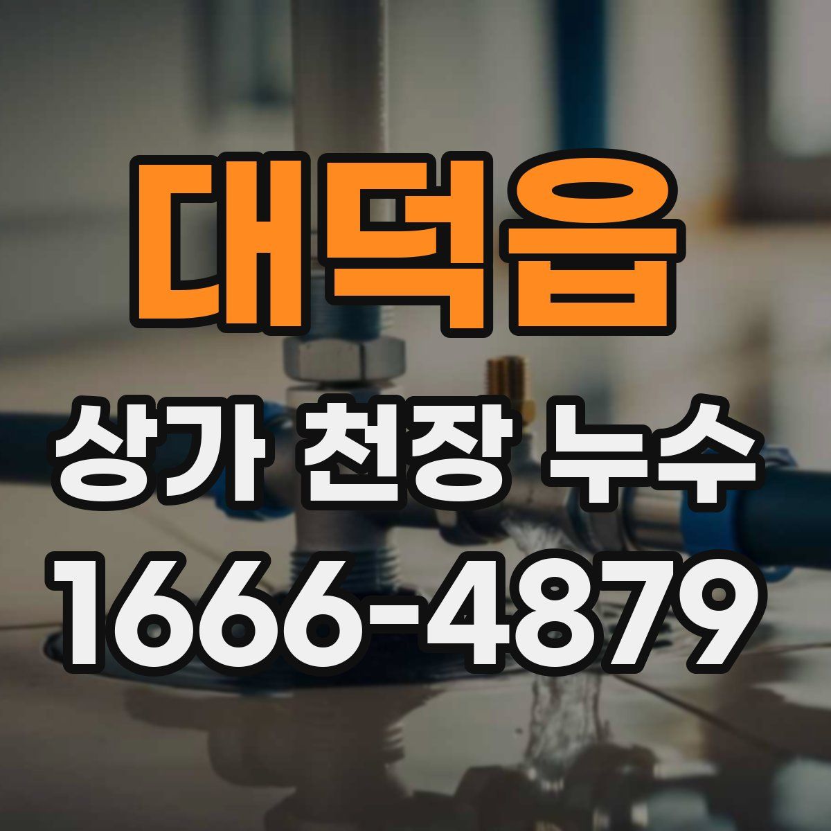 대덕읍 상가 천장 누수
