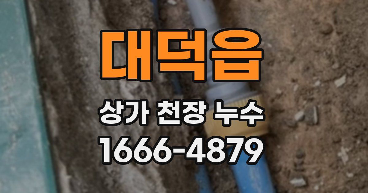 대덕읍 상가 천장 누수