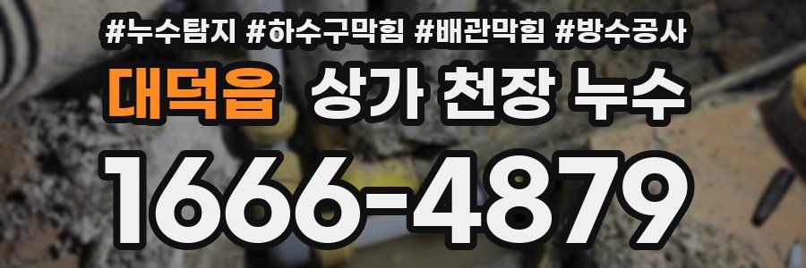 대덕읍 상가 천장 누수