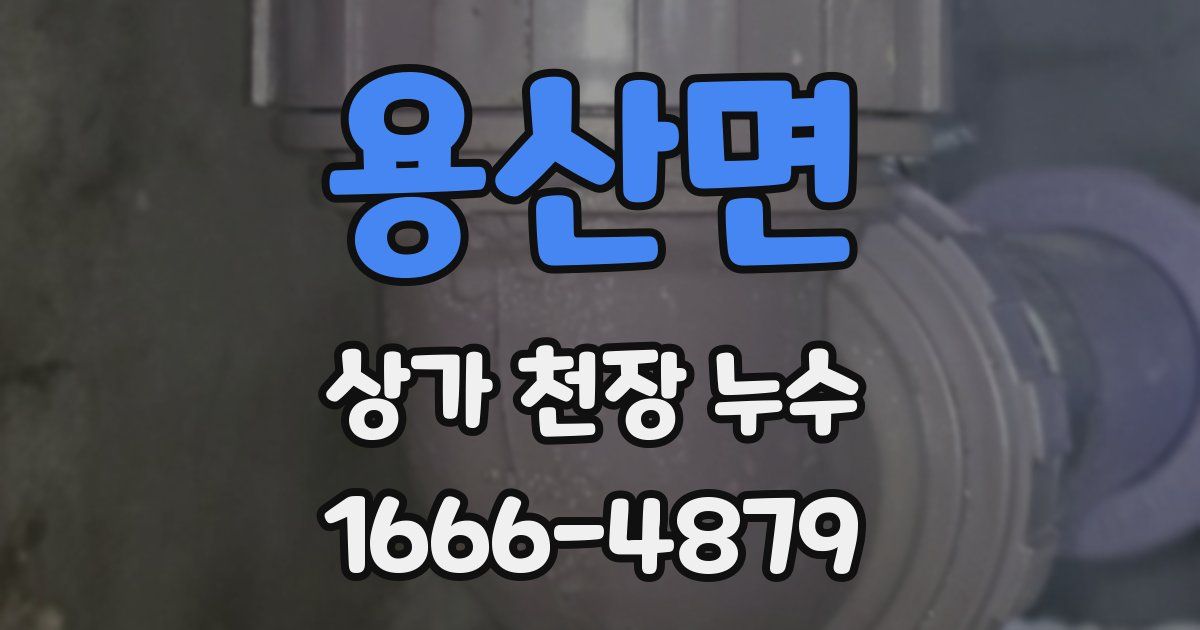 용산면 상가 천장 누수