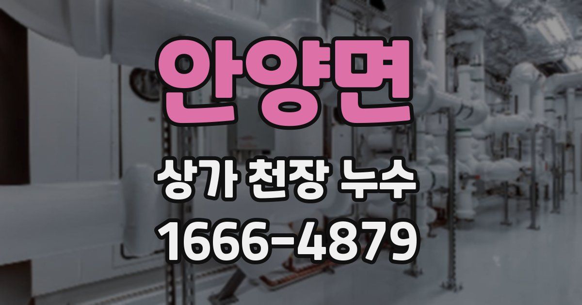 안양면 상가 천장 누수