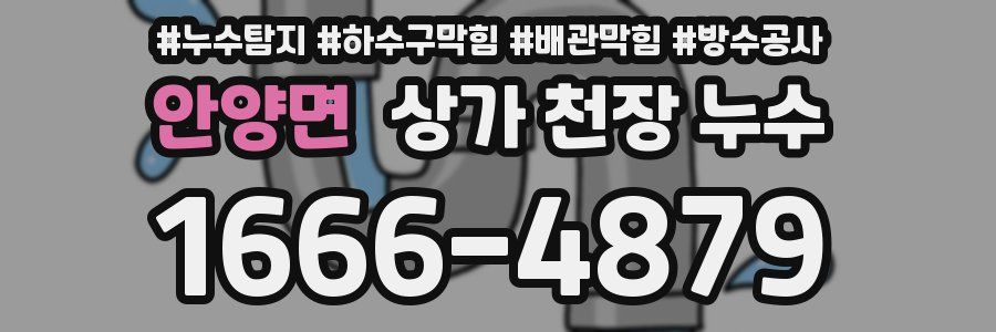 안양면 상가 천장 누수