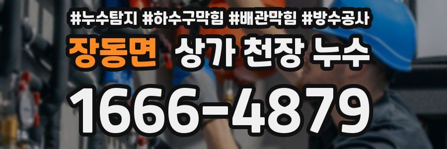 장동면 상가 천장 누수