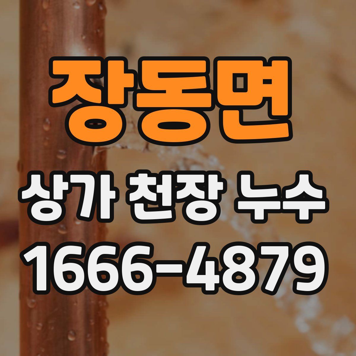 장동면 상가 천장 누수