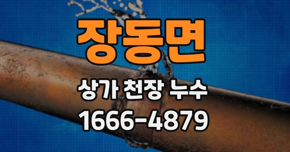 장동면 상가 천장 누수