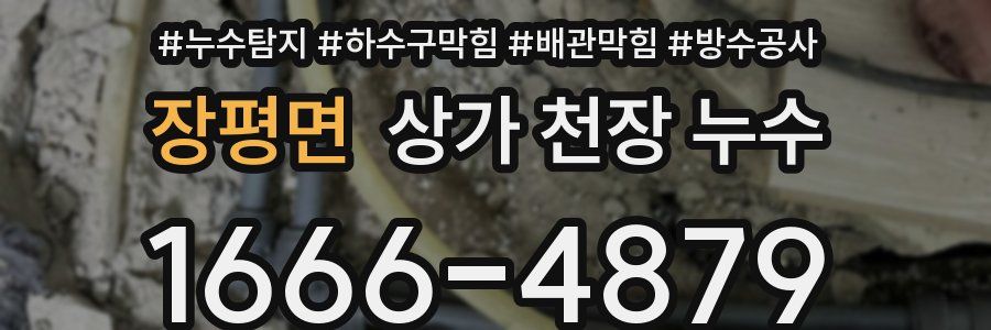장평면 상가 천장 누수