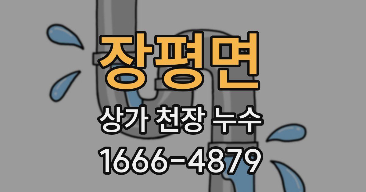 장평면 상가 천장 누수
