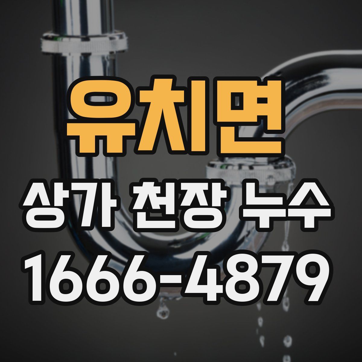 유치면 상가 천장 누수