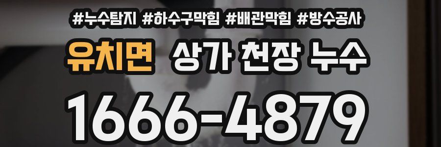 유치면 상가 천장 누수