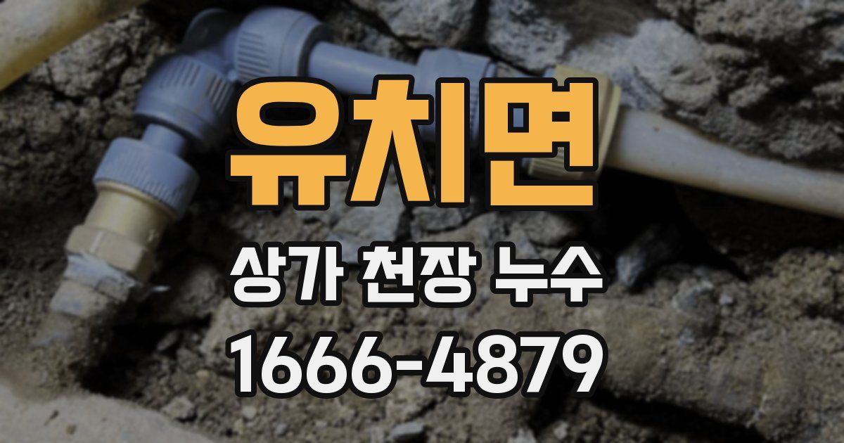 유치면 상가 천장 누수
