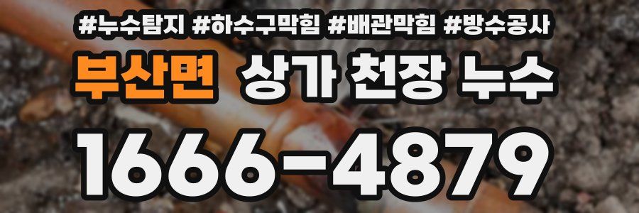 부산면 상가 천장 누수