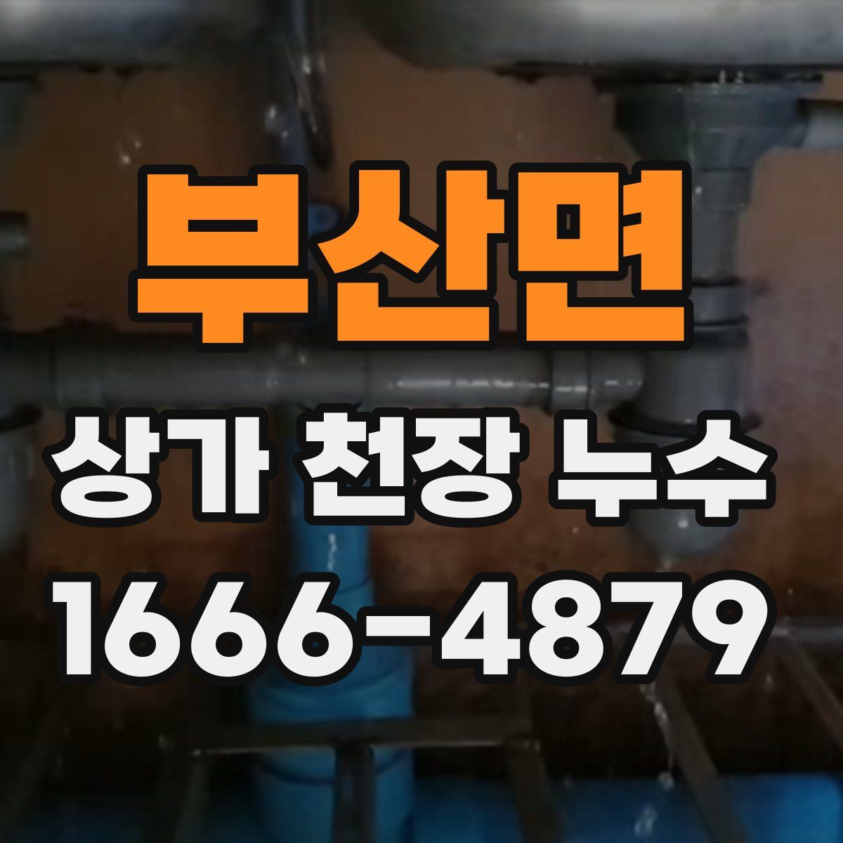 부산면 상가 천장 누수