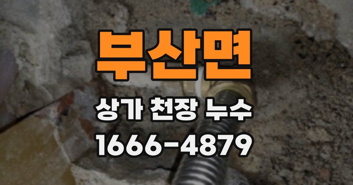 부산면 상가 천장 누수