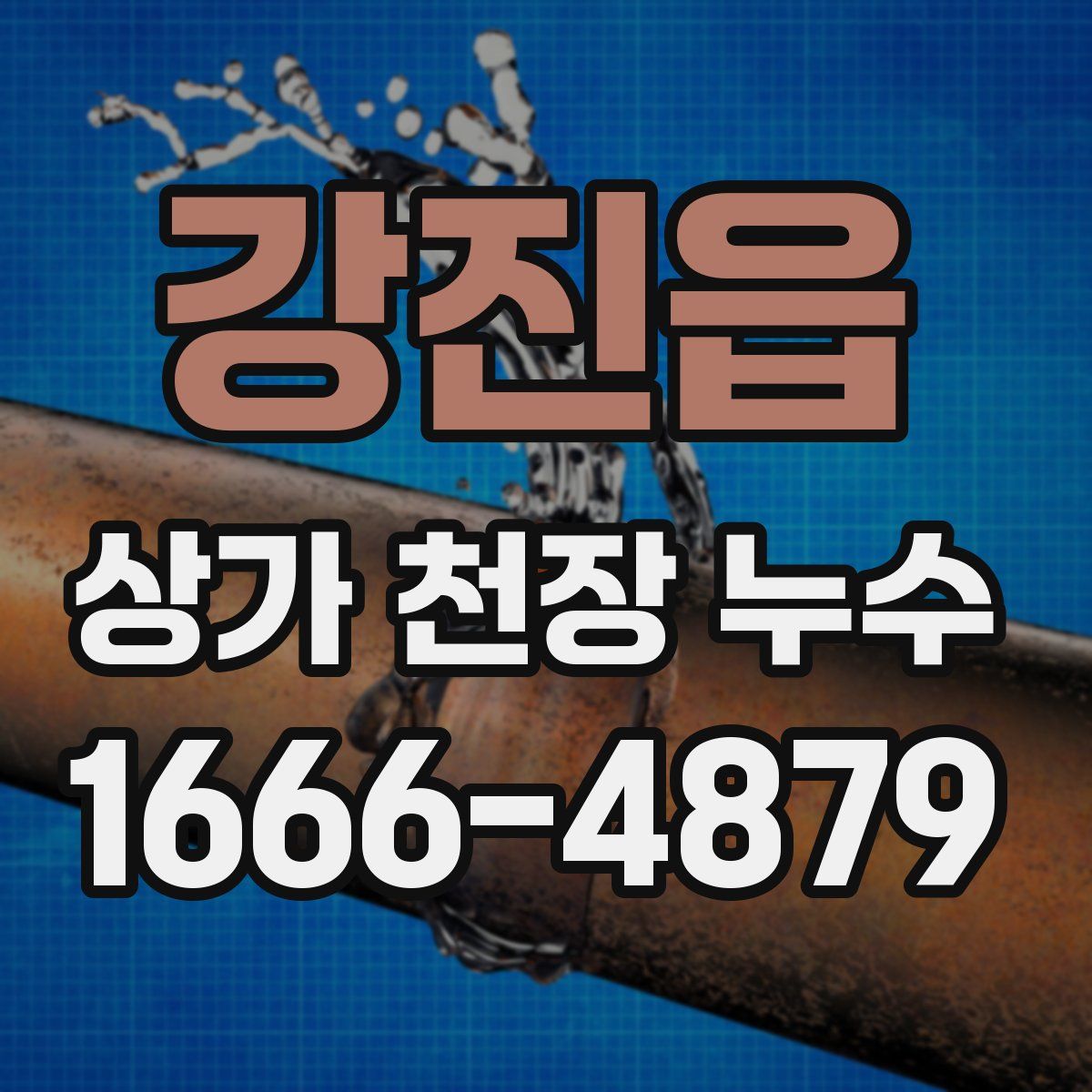 강진읍 상가 천장 누수