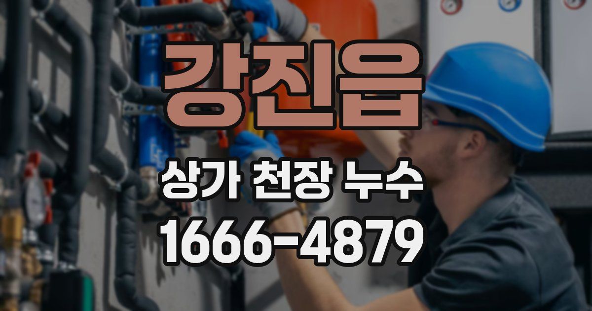 강진읍 상가 천장 누수