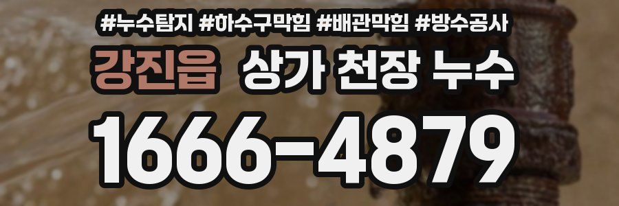 강진읍 상가 천장 누수