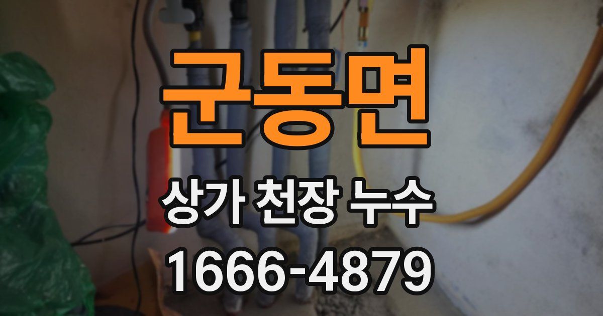 군동면 상가 천장 누수