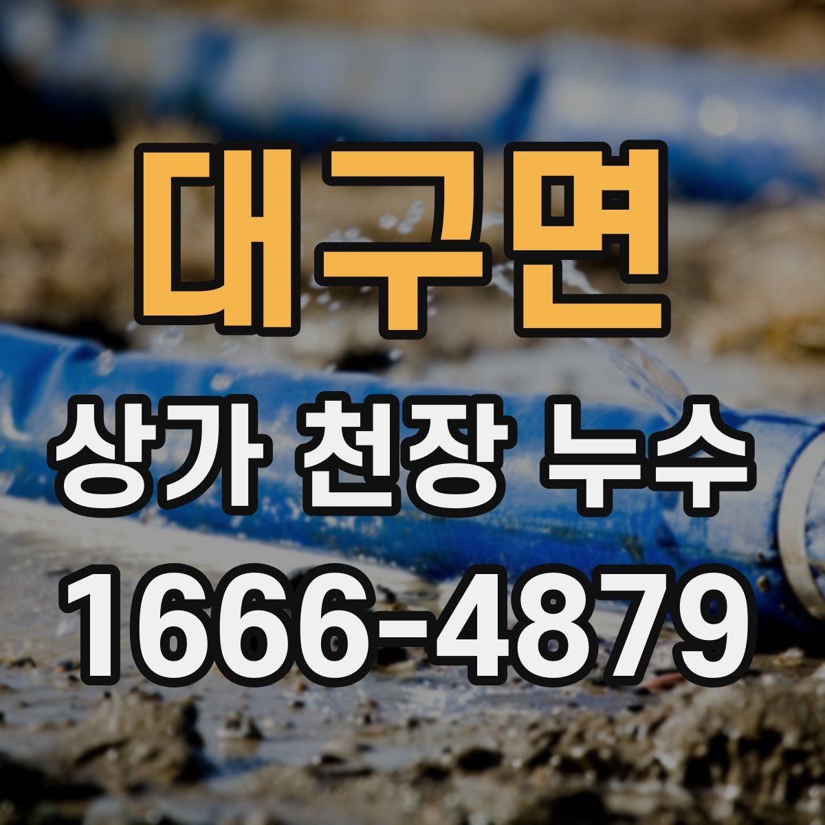 대구면 상가 천장 누수