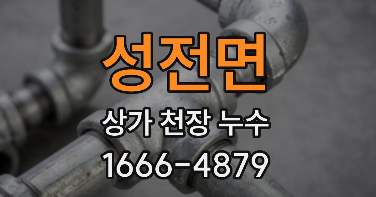 성전면 상가 천장 누수