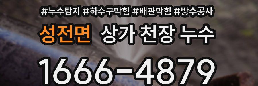 성전면 상가 천장 누수