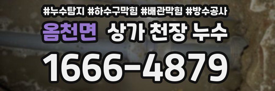 옴천면 상가 천장 누수
