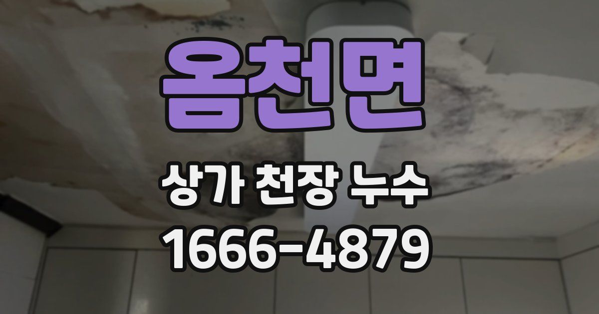옴천면 상가 천장 누수