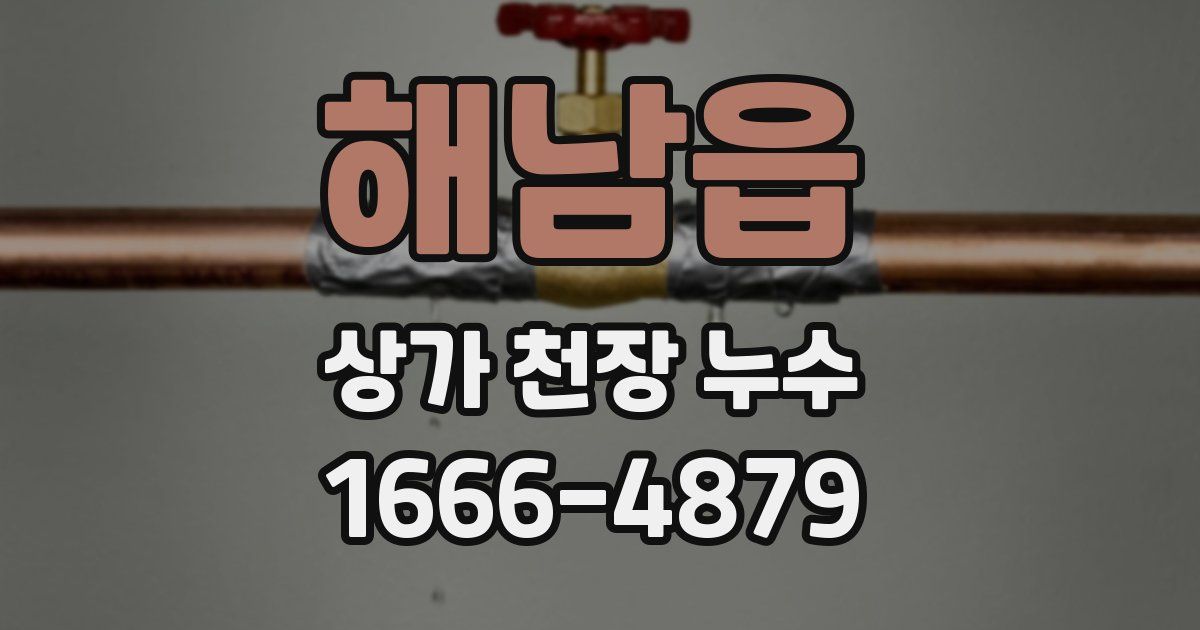 해남읍 상가 천장 누수