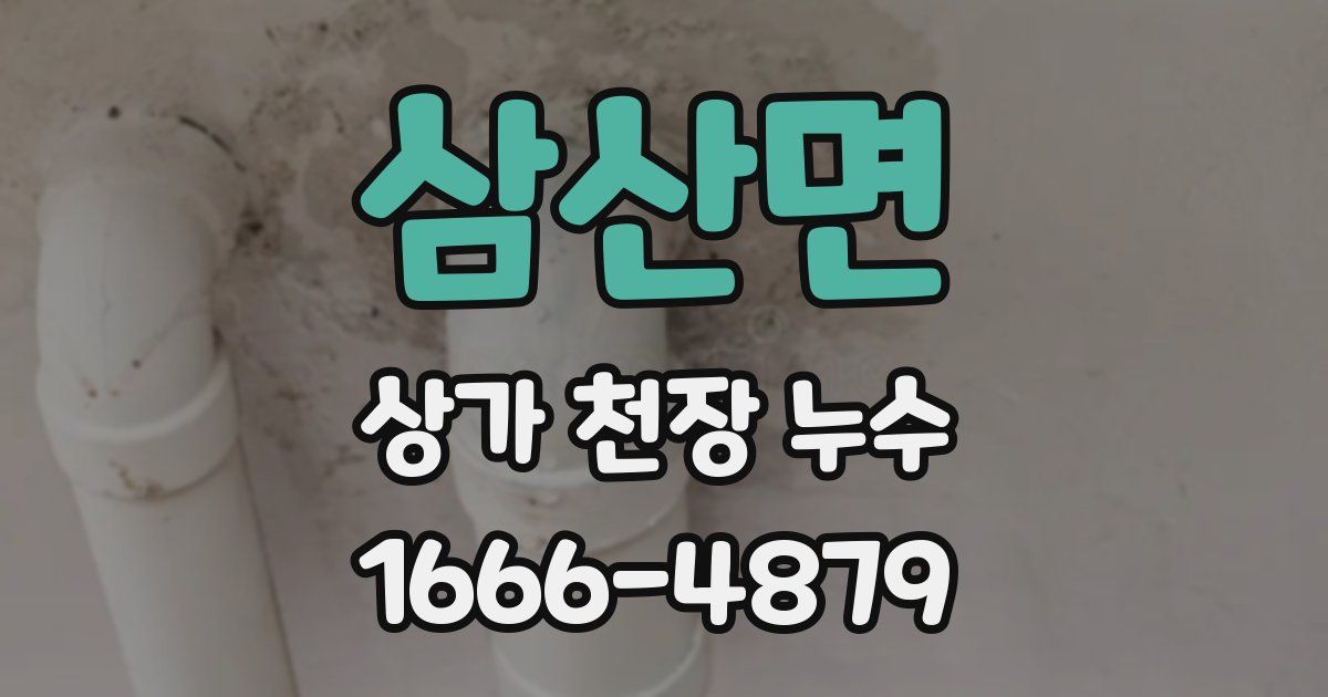 삼산면 상가 천장 누수