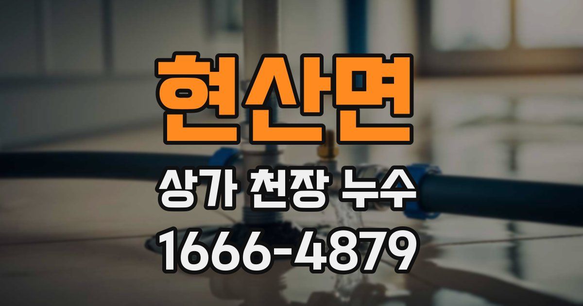 현산면 상가 천장 누수
