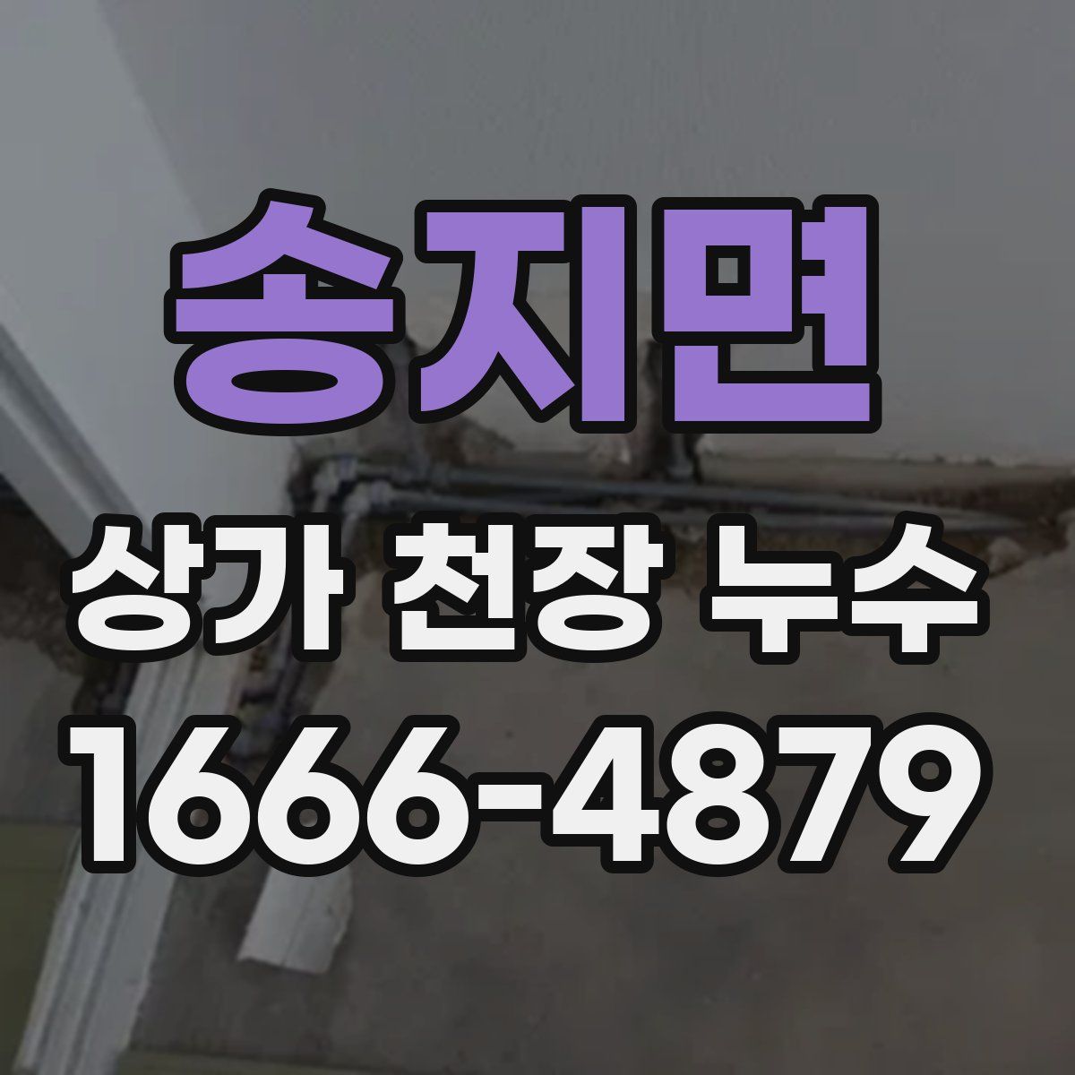 송지면 상가 천장 누수
