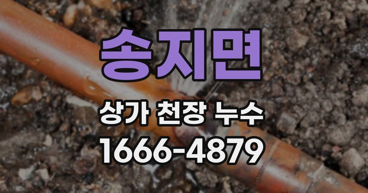 송지면 상가 천장 누수
