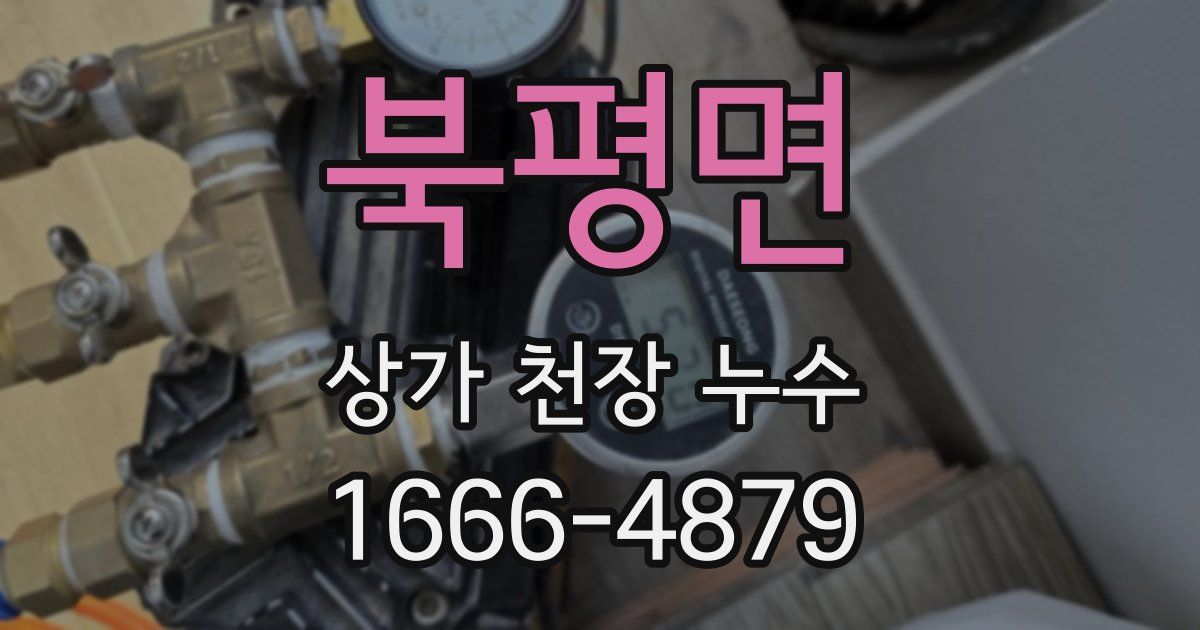 북평면 상가 천장 누수