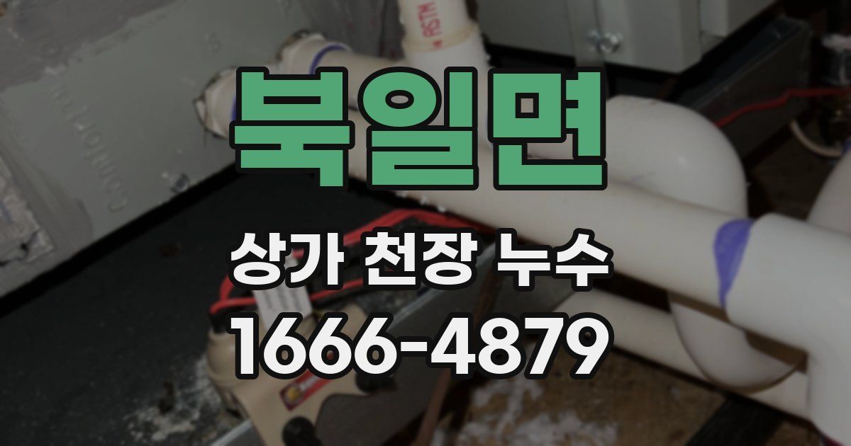북일면 상가 천장 누수