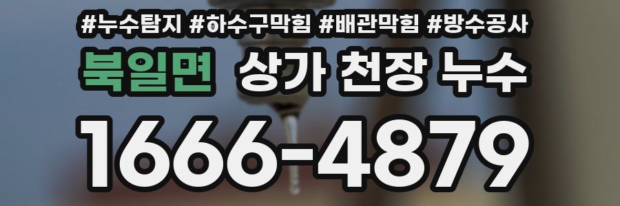 북일면 상가 천장 누수