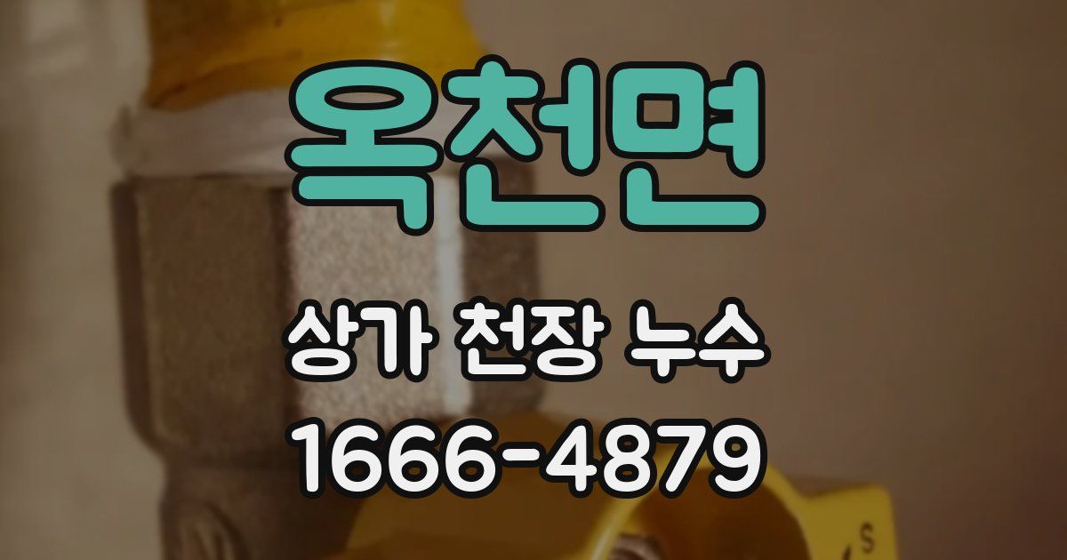 옥천면 상가 천장 누수
