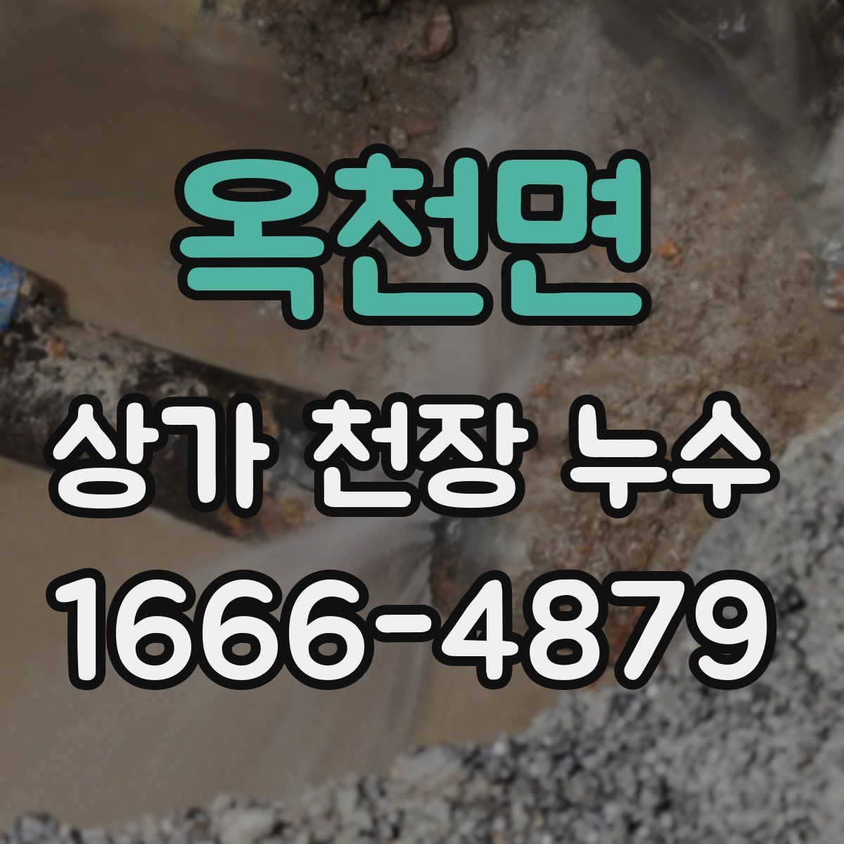 옥천면 상가 천장 누수