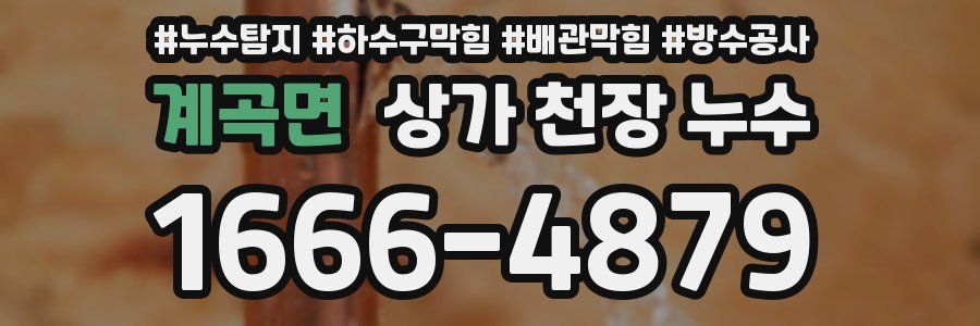 계곡면 상가 천장 누수