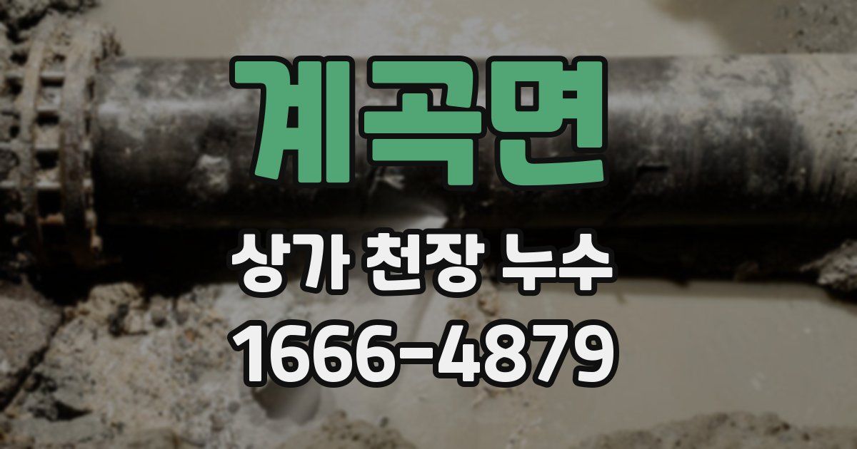 계곡면 상가 천장 누수