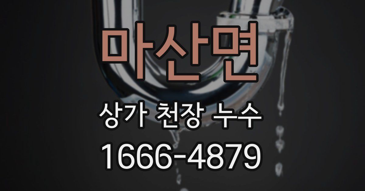 마산면 상가 천장 누수