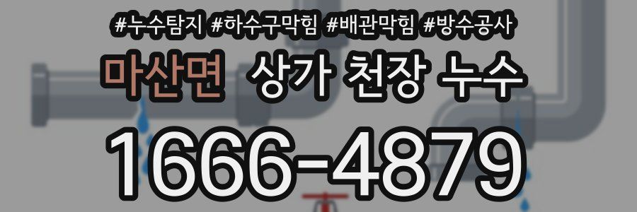 마산면 상가 천장 누수