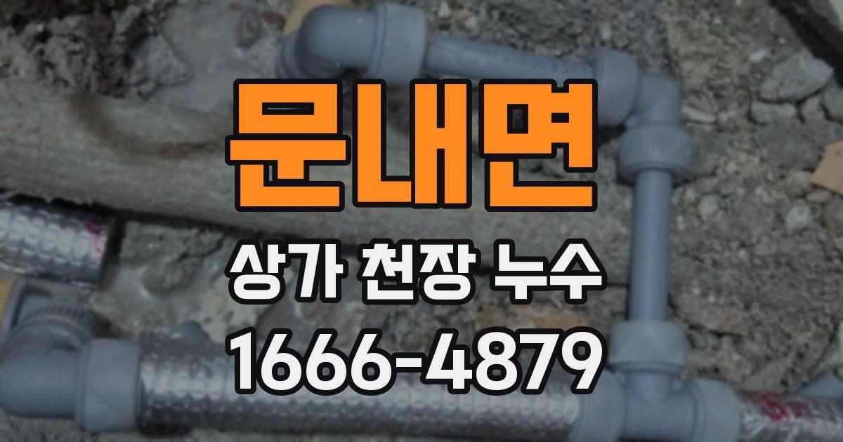 문내면 상가 천장 누수