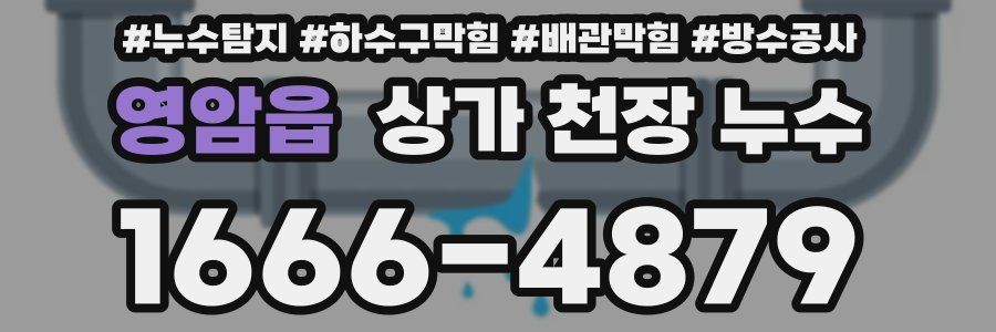 영암읍 상가 천장 누수
