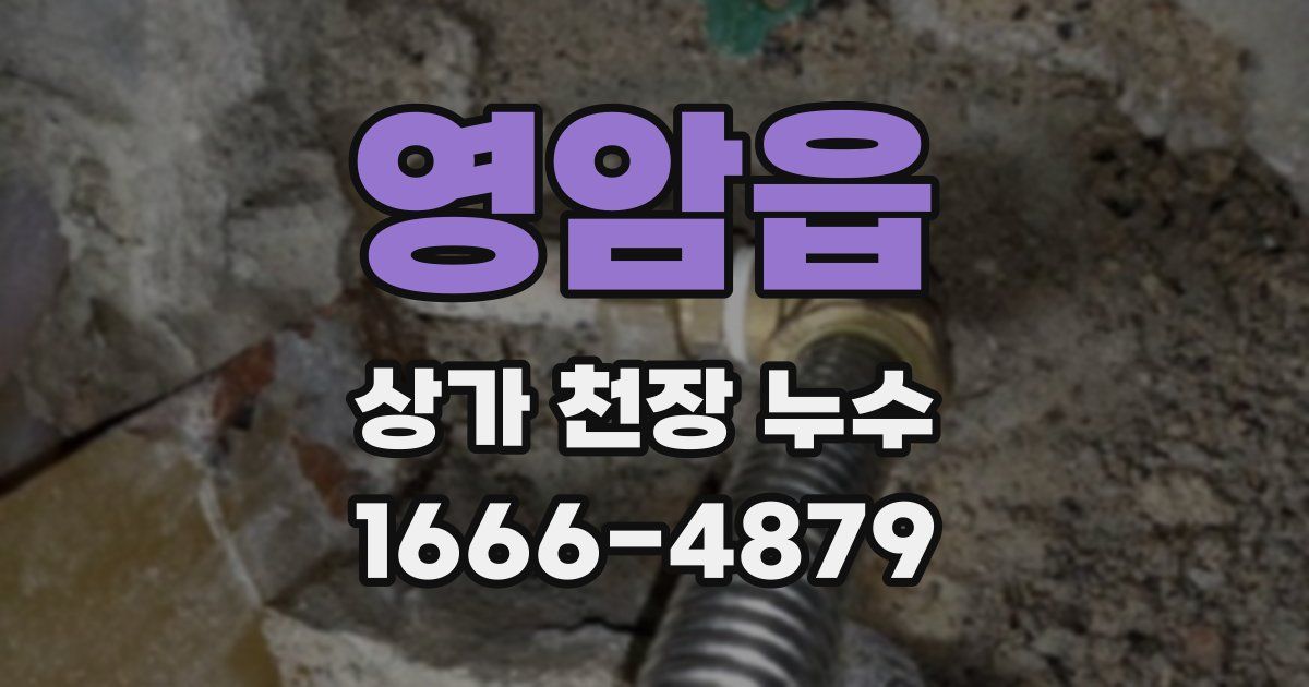 영암읍 상가 천장 누수