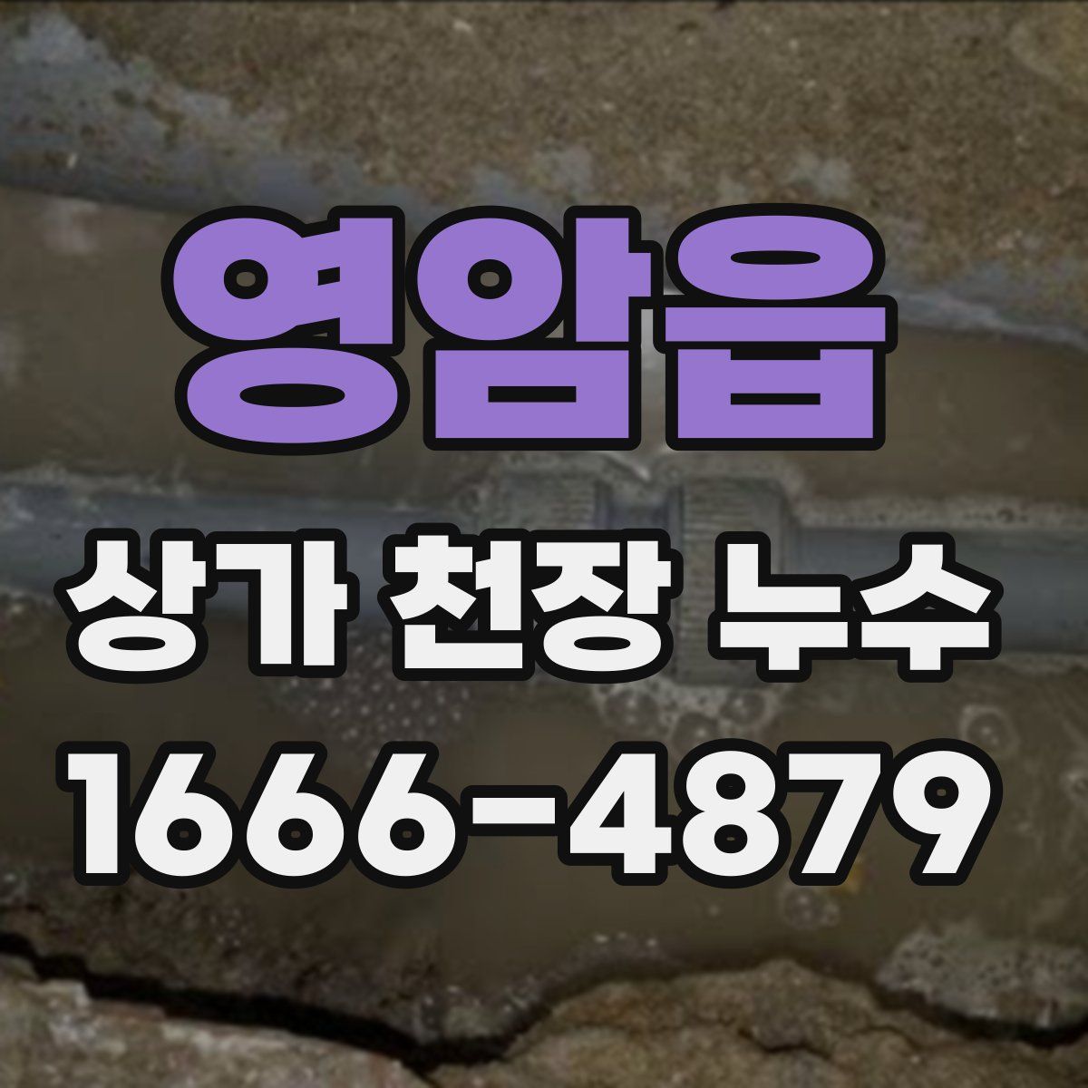 영암읍 상가 천장 누수