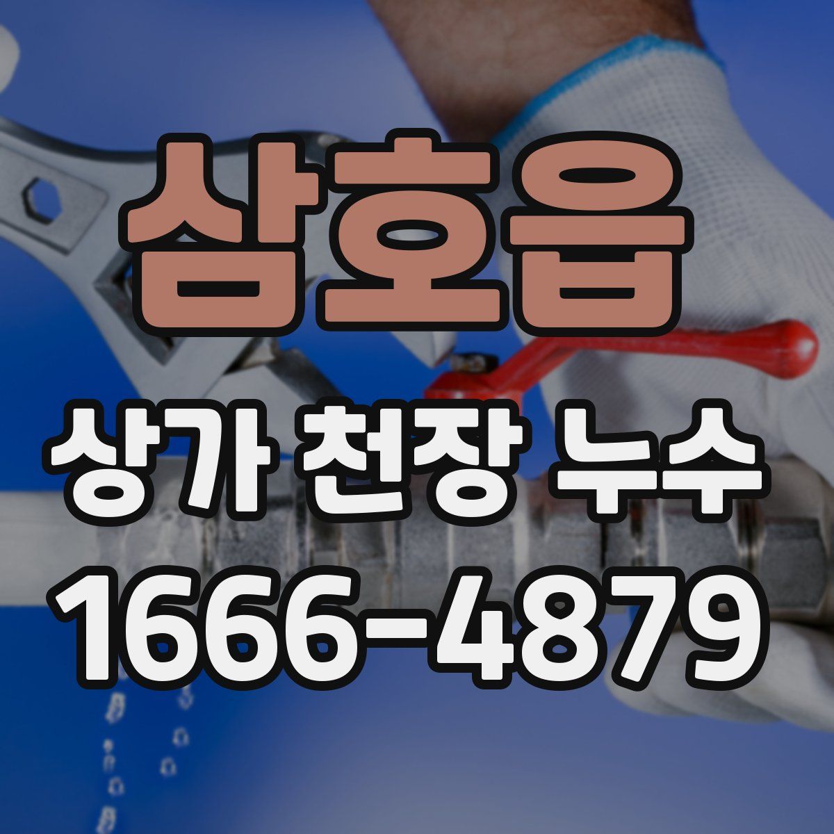삼호읍 상가 천장 누수