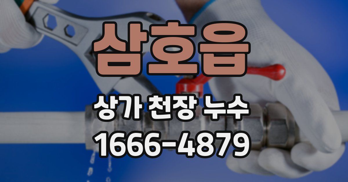 삼호읍 상가 천장 누수
